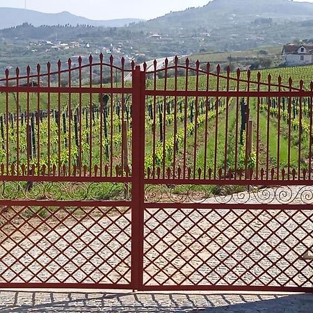 Quinta Do Passadico Villa ลาเมโก ภายนอก รูปภาพ