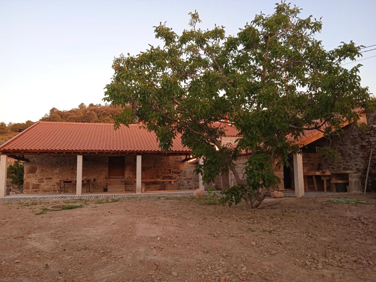 Quinta Do Passadico Villa ลาเมโก ภายนอก รูปภาพ